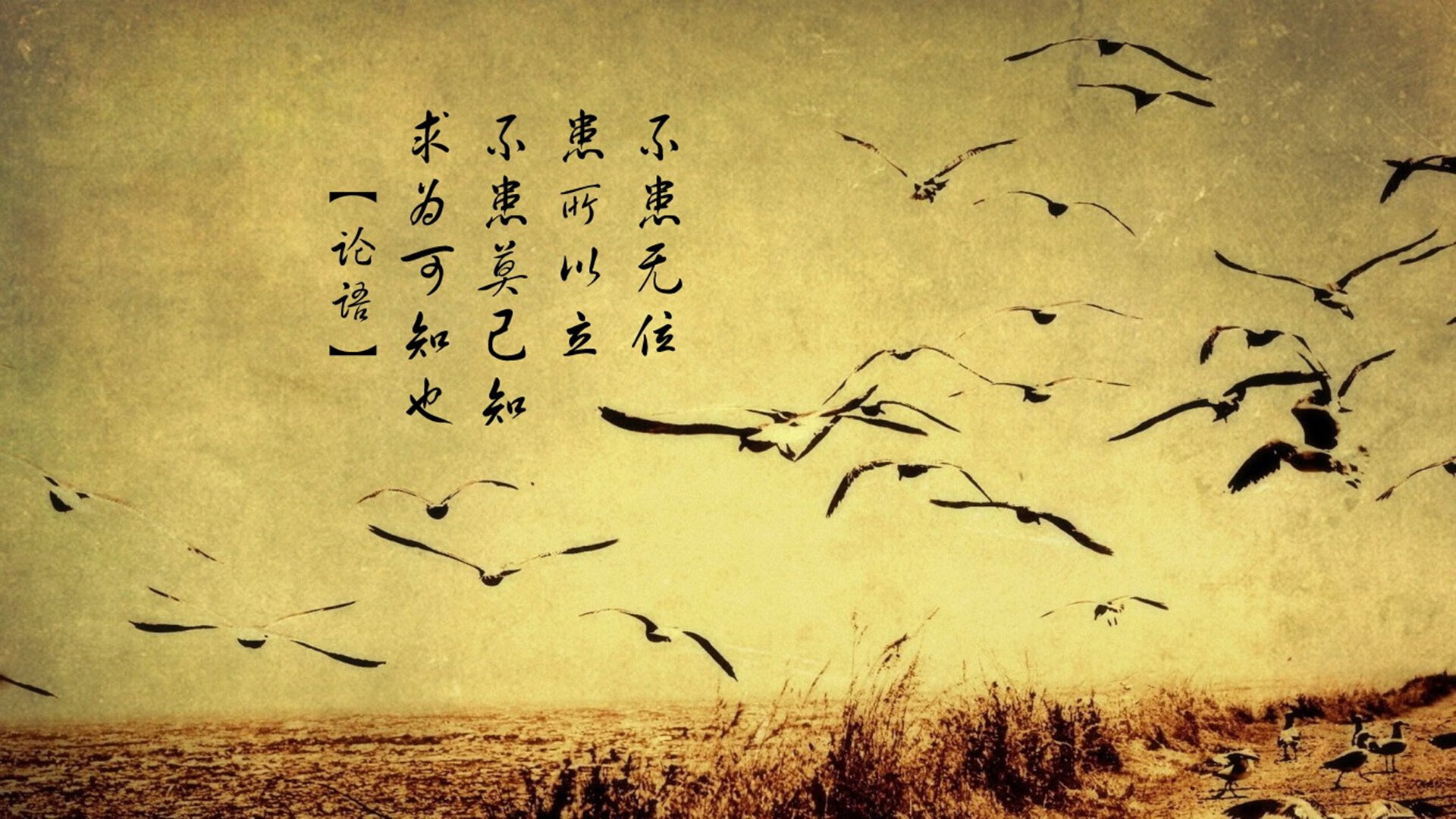 绿城天才少年震惊联盟，豪取多项纪录，绿城青训
