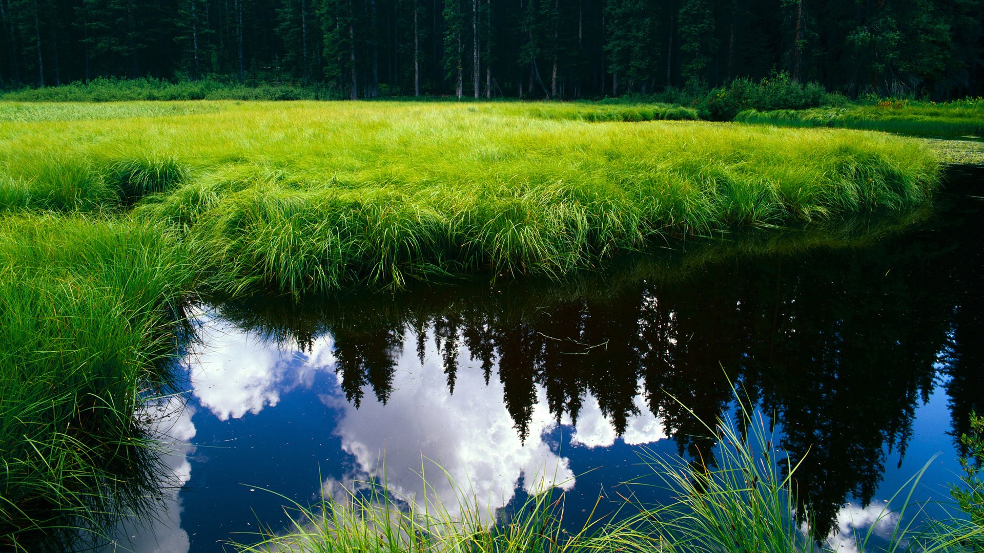 国足核心战术执行人员稳定性研究,中国足球队战术
