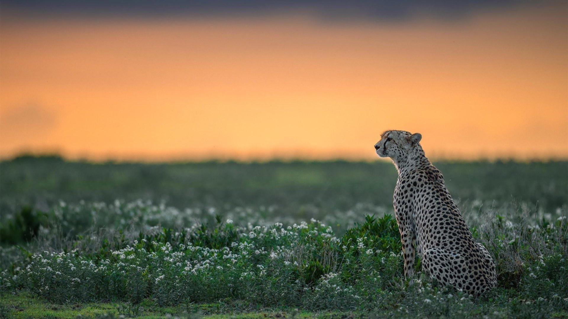 爱游戏app下载-德甲防守协作效率与抢断次数的定量分析，德甲防守水平