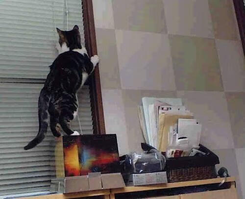 意甲青训体系中融入情绪调节训练的效果评估，意甲青训最好的球队