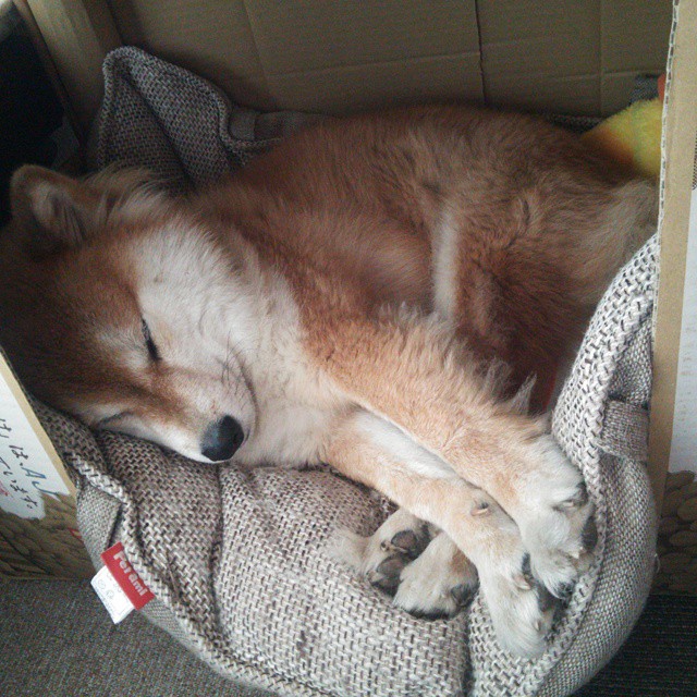 爱游戏体育APP下载-世界杯热血瞬间：英雄时刻点燃全场激情，世界杯激战正酣,我们都知道