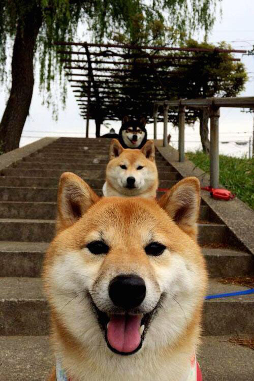 中国足球投入增加同时提高资金监管透明度,每年中国足球投入