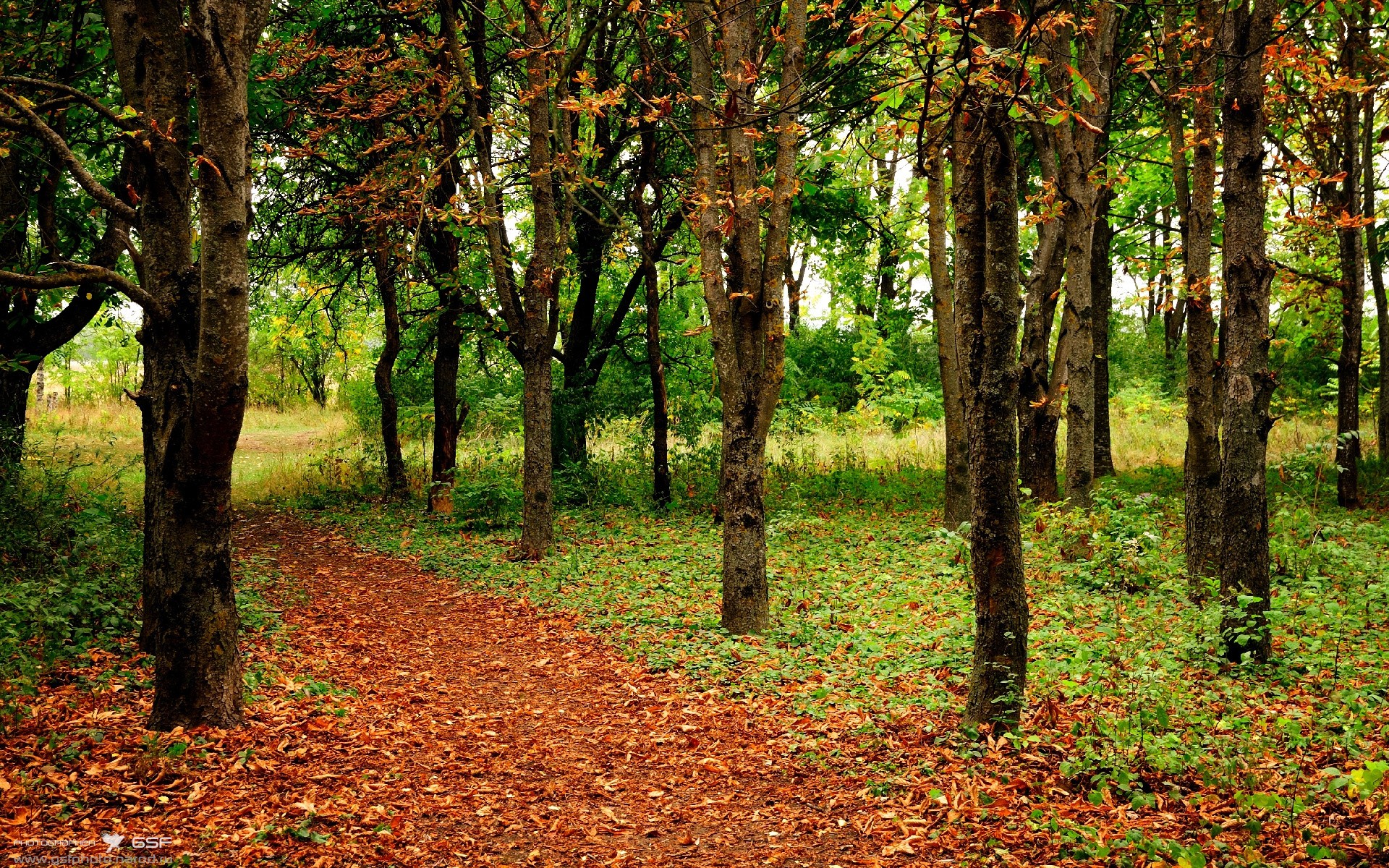 爱游戏体育（AYX）官方APP下载-中国队精准换泳助力夺铜成功，中国队泳裤