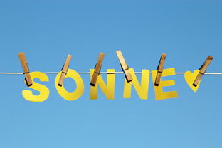 爱游戏体育官方网站-体育新闻中心公告全国夏季赛事气象应急预案，赛事应急预案模板