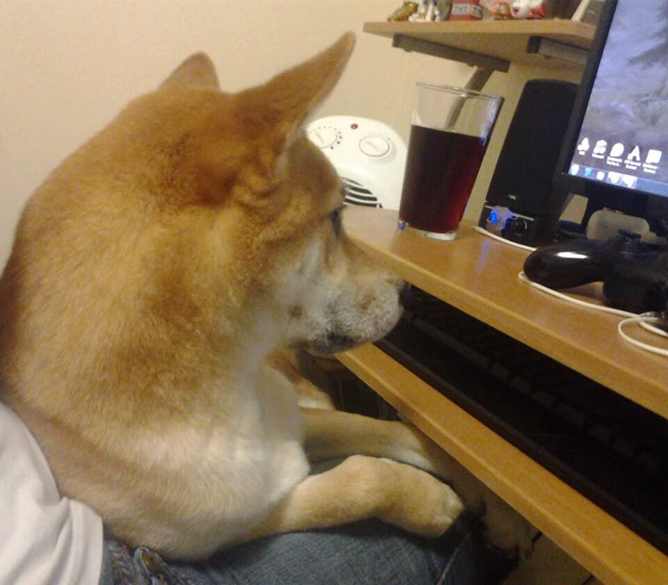 女子排球选手征战海外联赛表现稳定,谈论国际女子排球的海报的对话