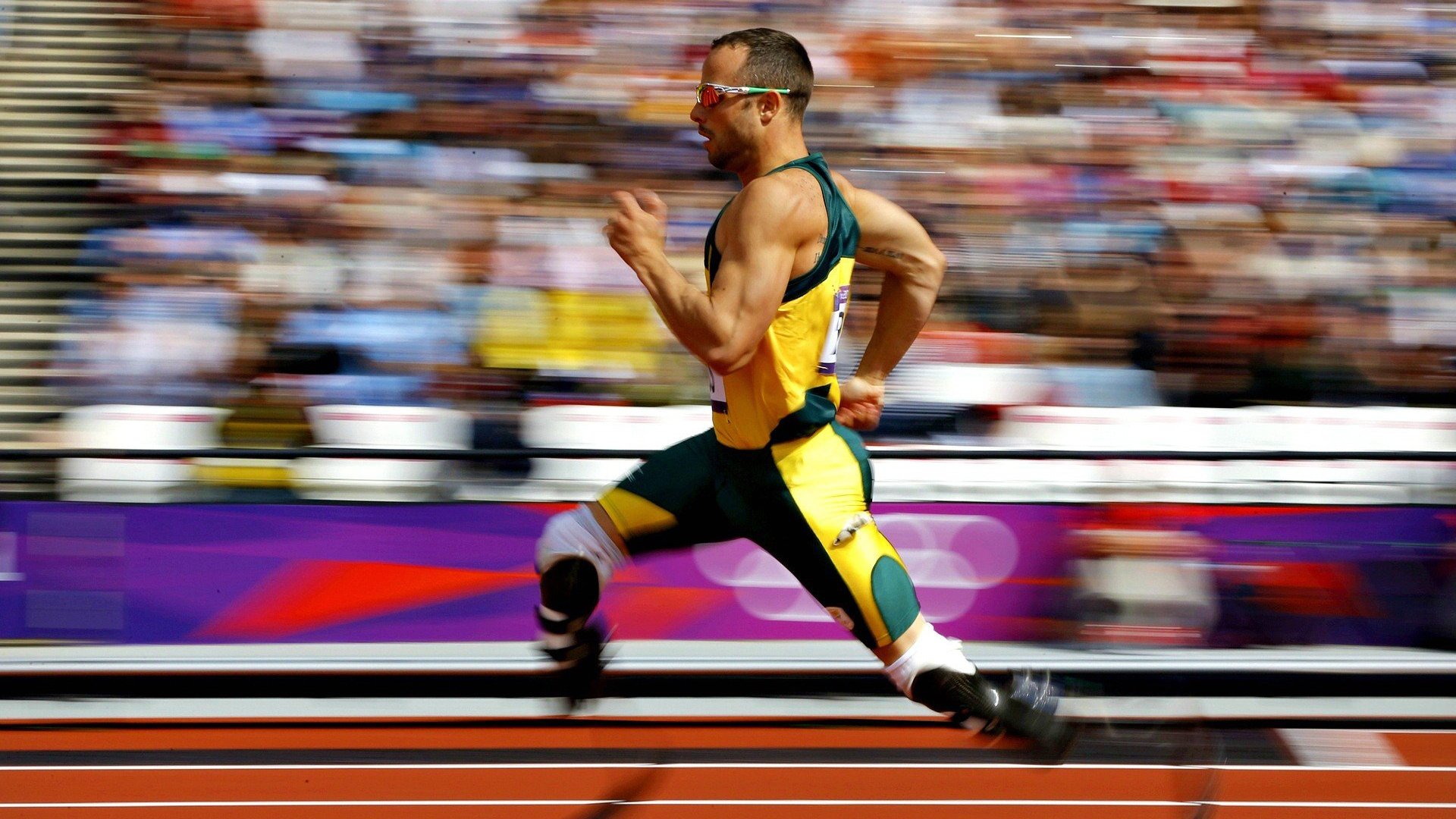 体育新闻内容导向与受众需求匹配分析,体育新闻报道的基本要求